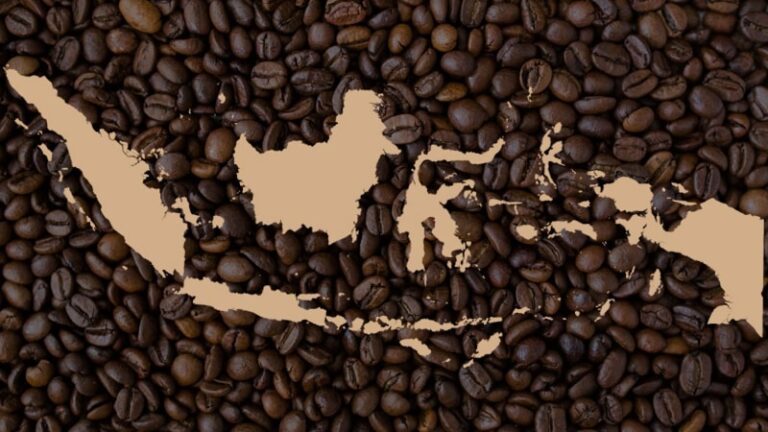 8 Daerah Penghasil Kopi Terbesar di Indonesia - Limakilo